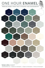 Load image into Gallery viewer, Wise Owl One Hour Enamel