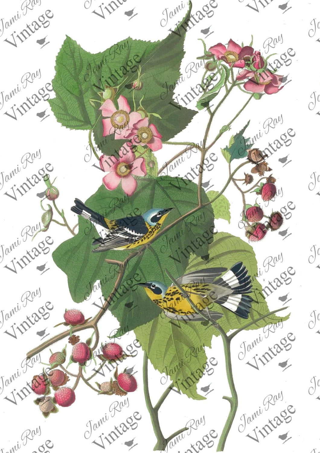 JRV Rice Paper  -  Birds and Roses | 4A