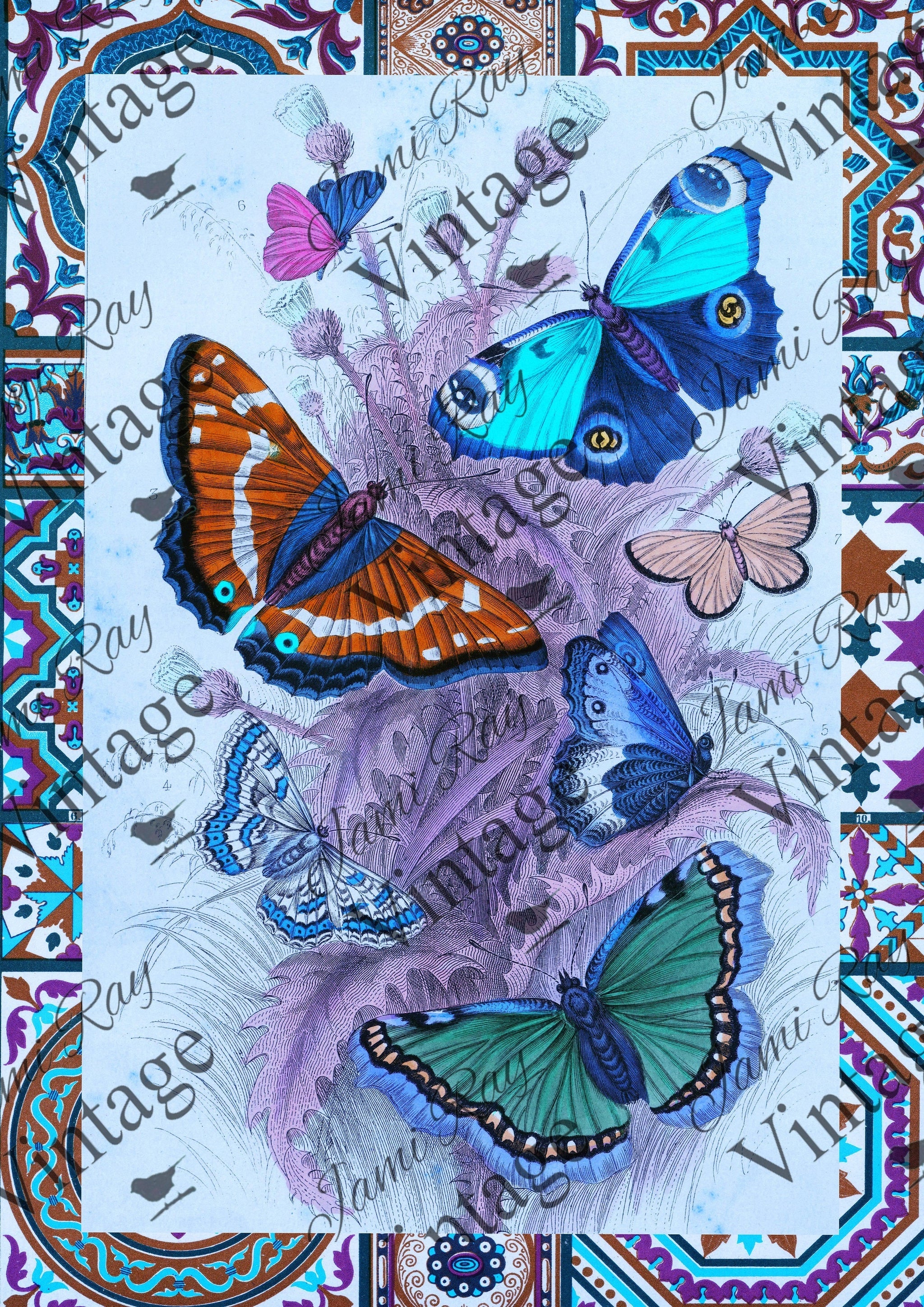 JRV Rice Paper - Papillon | 4A – Life Style of a DIYer