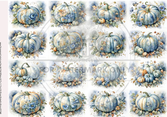 A4 Blue Pumpkin Blooms