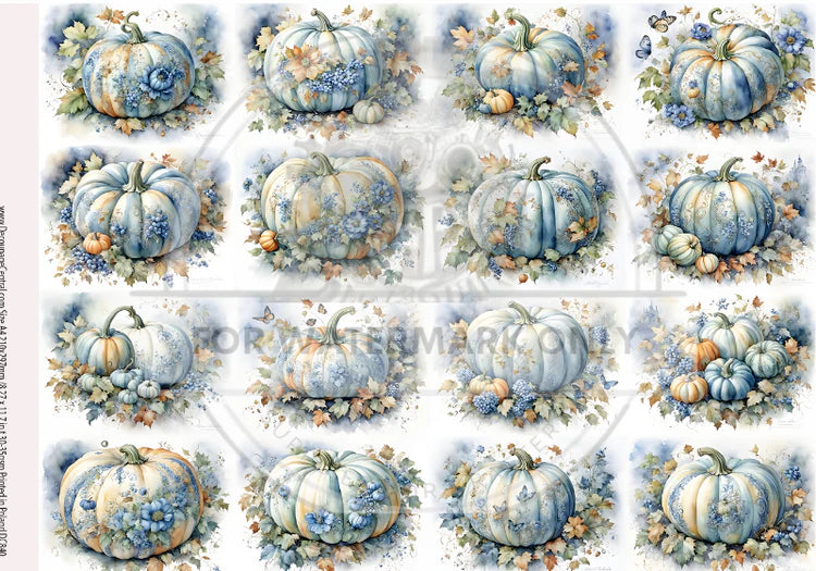 A4 Blue Pumpkin Blooms