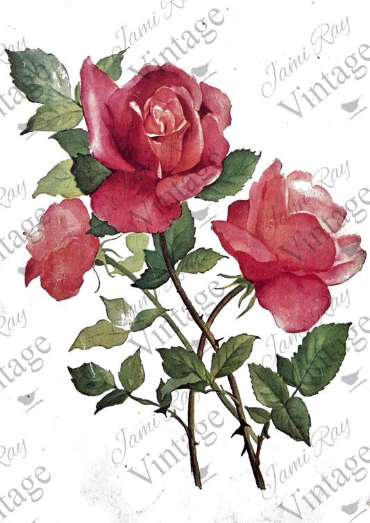 JRV Rice Paper  -  Roses | 4A