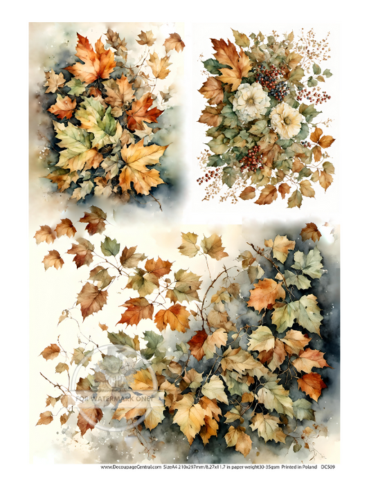 A4 Fall Leaves Trio