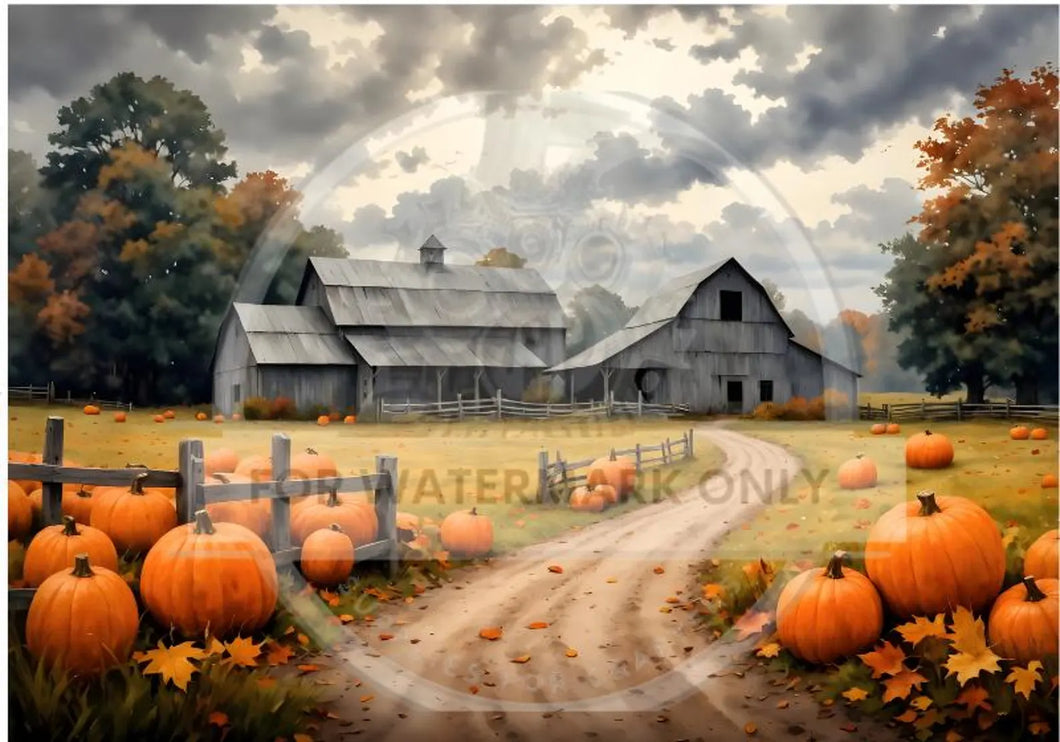 A4 Pumpkin Path Farm