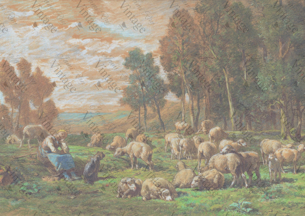 JRV Rice Paper  -  Pastoral Sheep | 4A