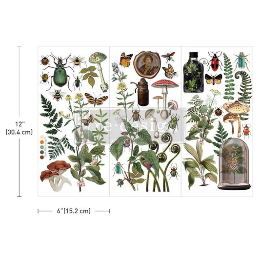 Decor Transfers® – Botanical Archives – 3 Sheets, 6″X12″