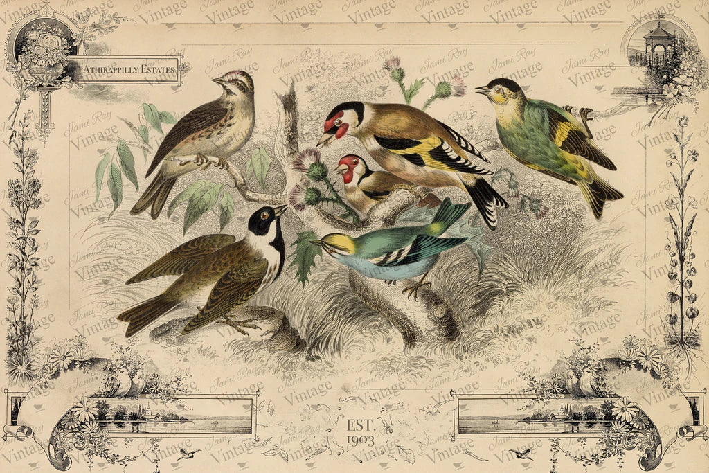 Decoupage Paper Cottage Birds
