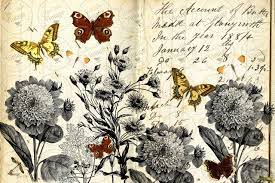 Decoupage Paper Monarchromatic